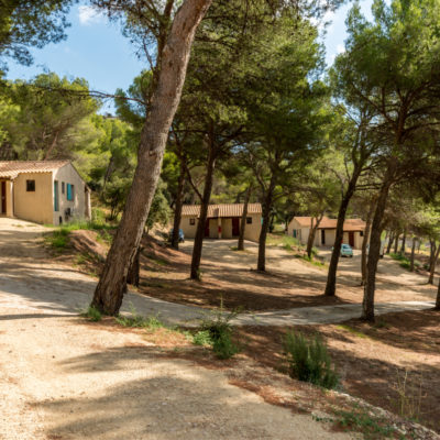 location salle en provence nature provençale